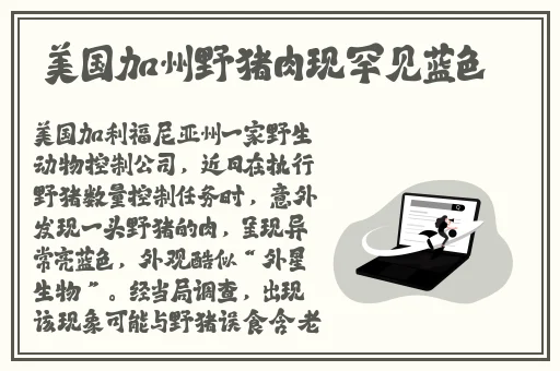 男孩把坤坤放到女孩坤坤